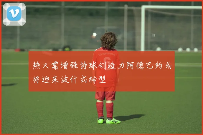 热火需增强持球创造力阿德巴约或将迎来波什式转型