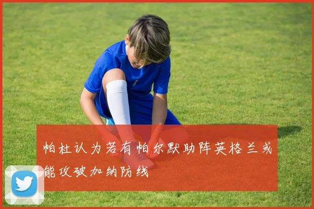 帕杜认为若有帕尔默助阵英格兰或能攻破加纳防线