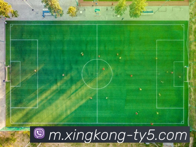 星空体育APP 封面图
